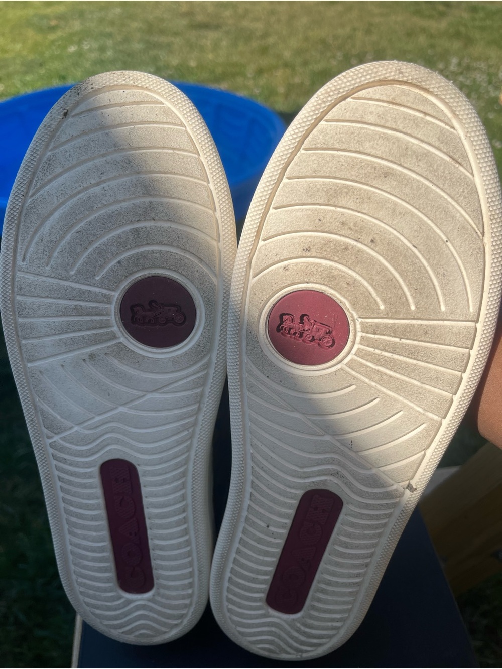 Coach Multicolor Signature C Low-Top Sneakers - White Trim - Picture 3 of 5